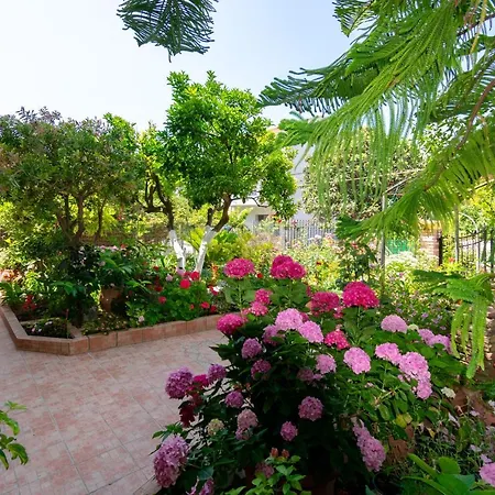 Villa Sophia Apartments By Corfuescapes Agios Gordios  Extérieur photo